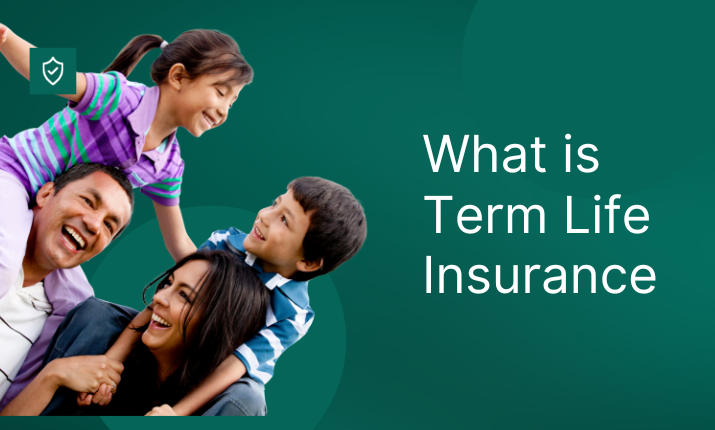 term life insurance