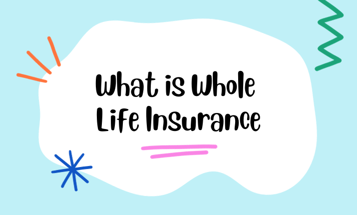 whole life insurance